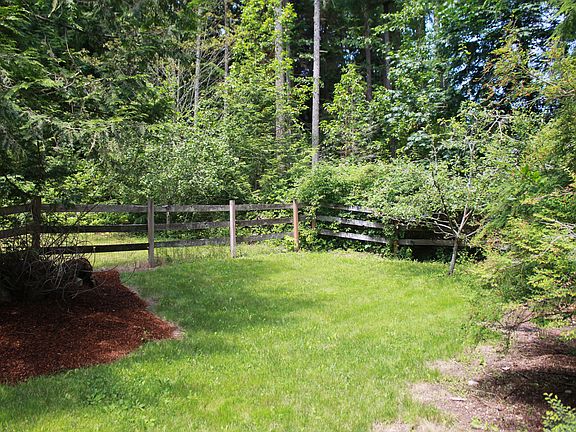 Apple Trees