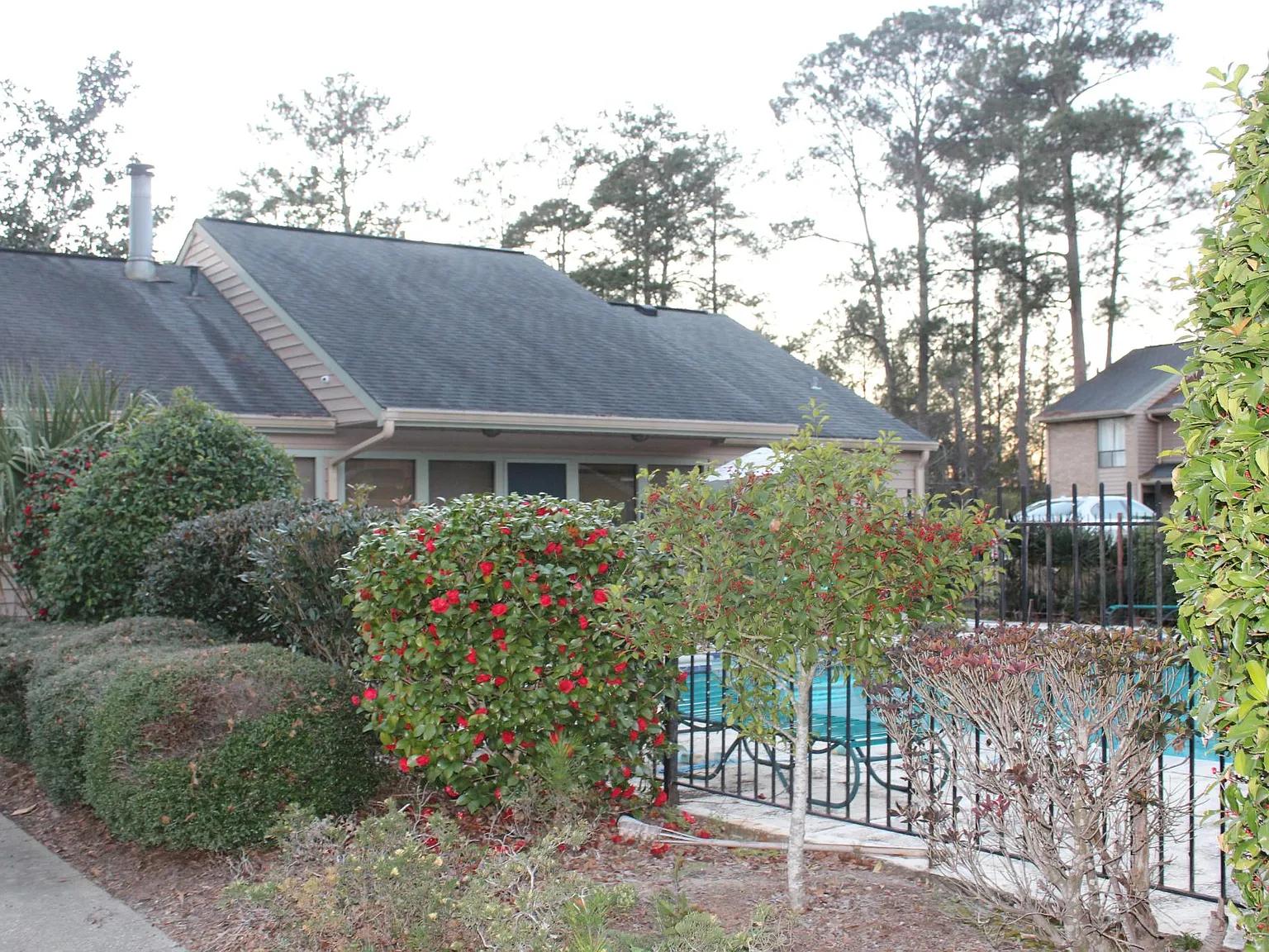 2 bed, 1004 sqft, $1,250 — Photo 3