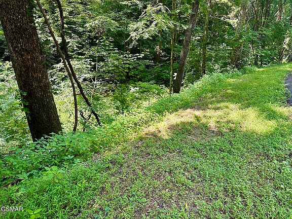 3rd image of LOT-706A School House Gap Rd House Gap