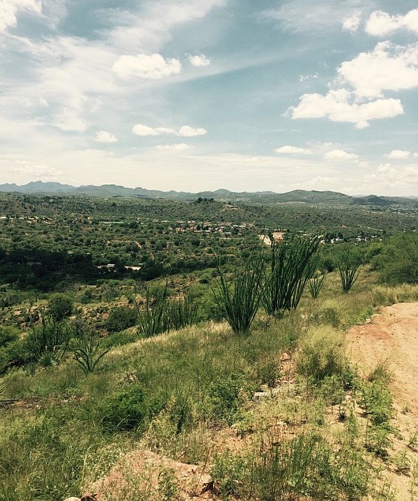 2nd image of 2709 N Cinco Millas Rd
