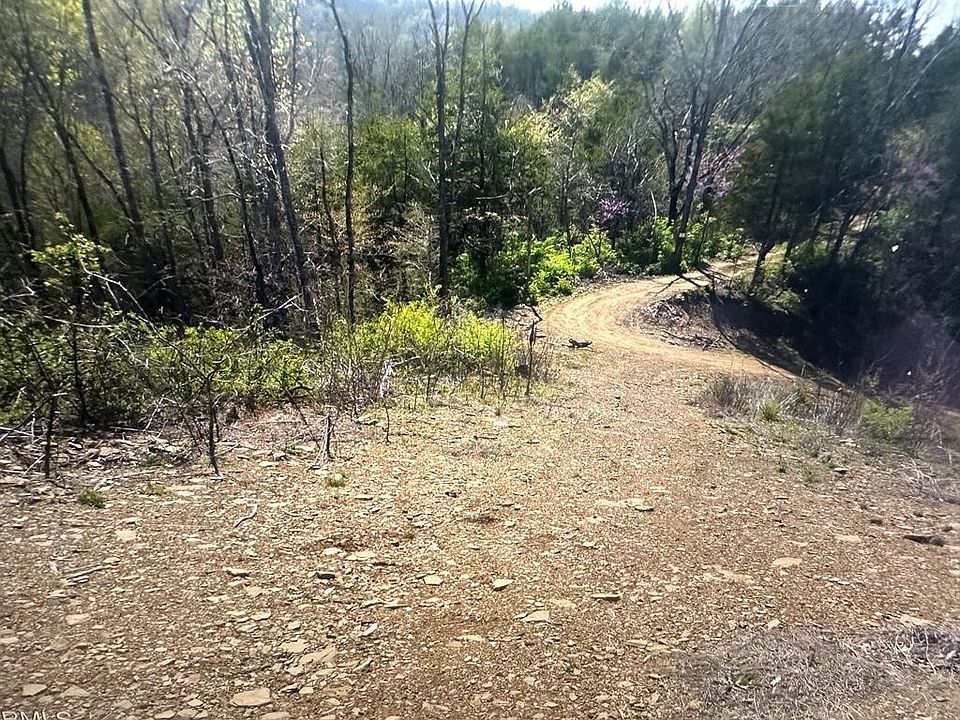 1st image of 0 Parton Hollow Rd Lot 3