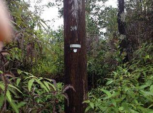 Road 3 Hopue LOT 3280, Mountain View, HI 96771