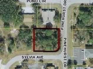 1325 Sylvia Ave, Spring Hill, FL 34606