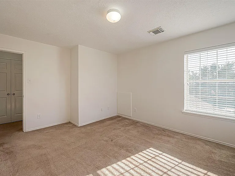 17210 Double Lilly Dr — Photo 32