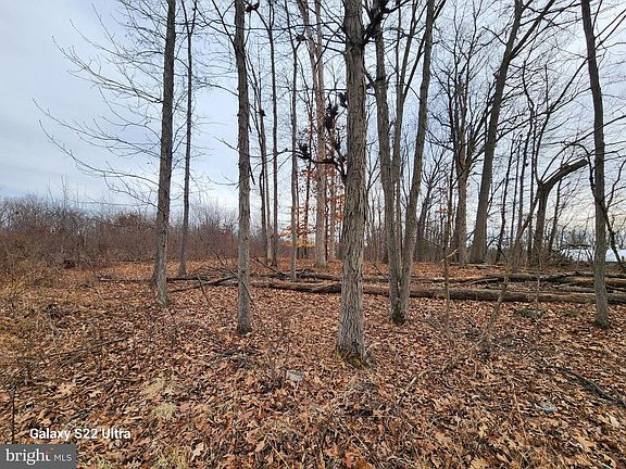 5th image of 470 Seven Stars Rd