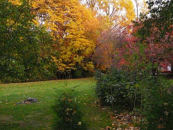 Southwest corner - back yard.