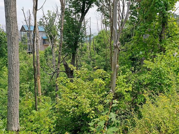 4th image of LOT 480 Pinecrest Dr Lot 480