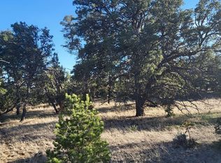 5 Misty Ln, Pinehill, NM 87357