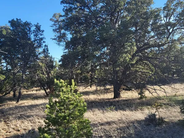 5 Misty Ln, Pinehill, NM 87357