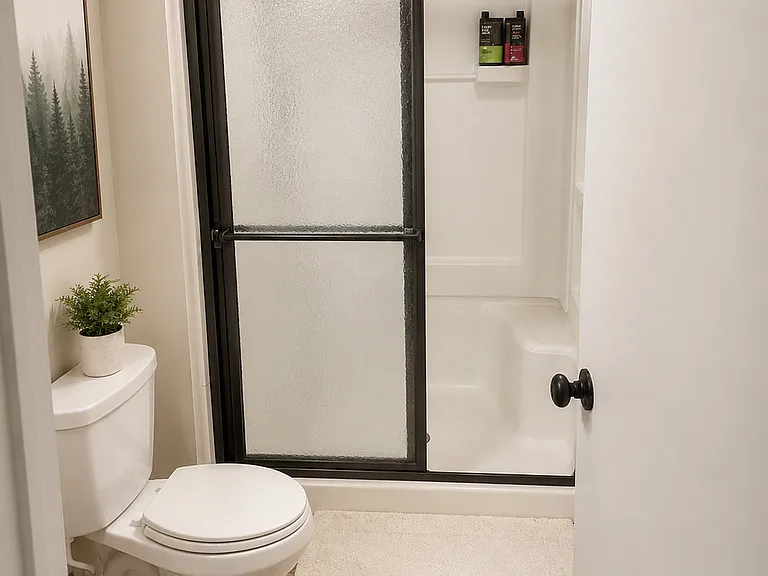 Master Bathroom Shower