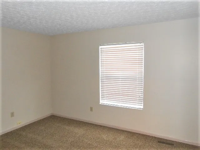 7176 Oliver Winchester Dr — Photo 11