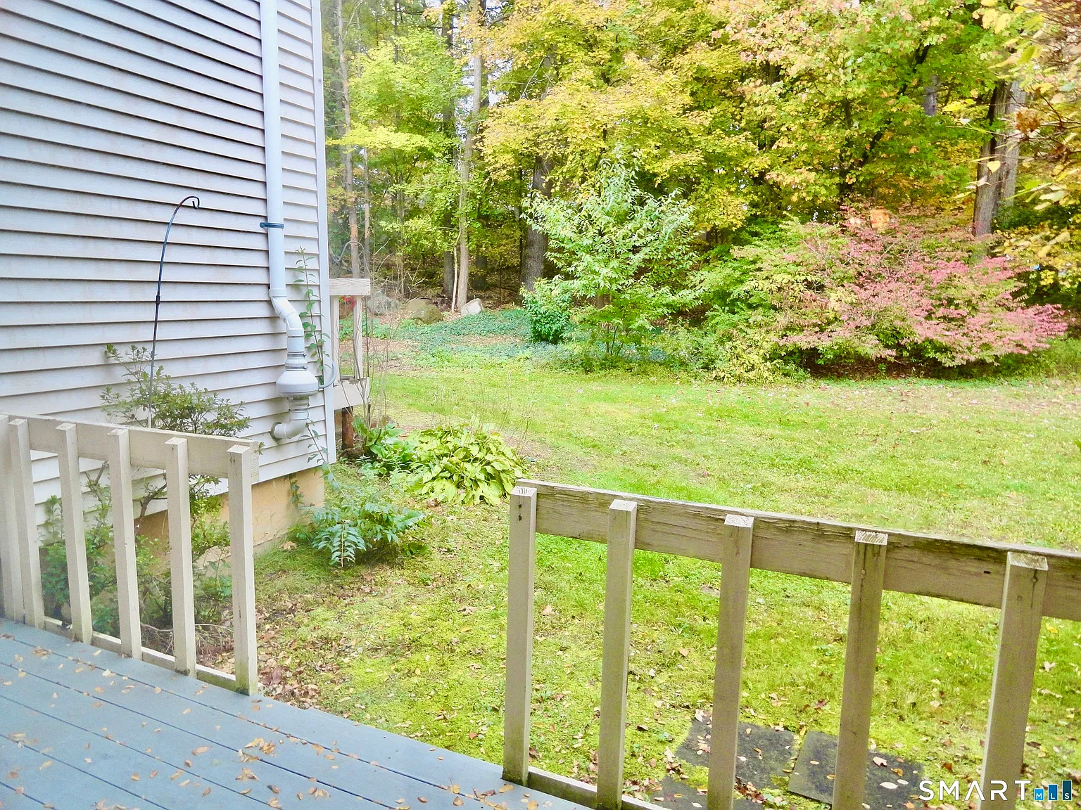 Whispering Woods — Photo 3