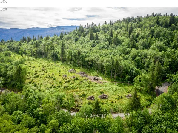 Mount Pleasant Rd, Washougal, WA 98671