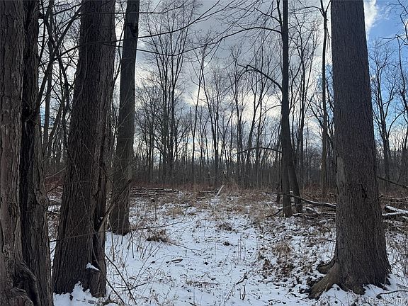 4th image of 1 Remer Rd