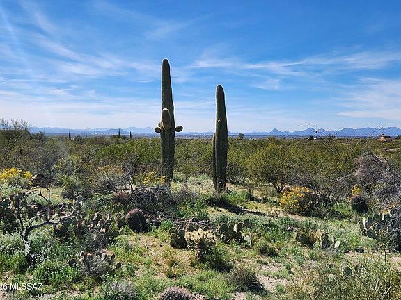 3rd image of 4101 S Escalante Ridge Pl