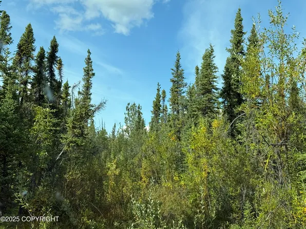 Mile 188.2 Glenn Hwy, Glennallen, AK 99588