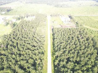 13 Butterbean Rdg, Livingston, LA 70754