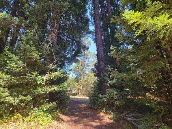 10980 Peaks Pike Road, Sebastopol, CA 95472