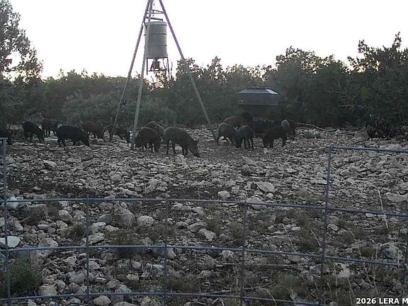 4th image of 000 No Name