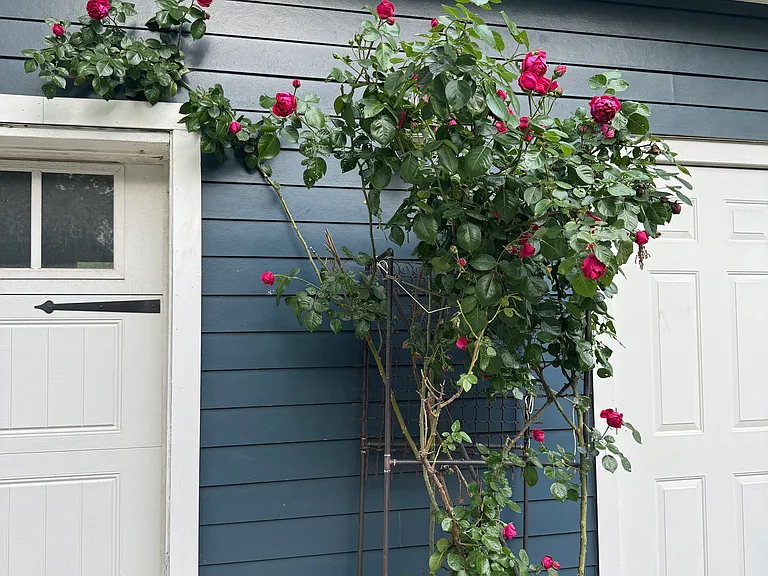 64 Clay St NE — Photo 45