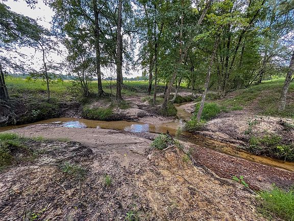 3rd image of 7418 Private Road 2095