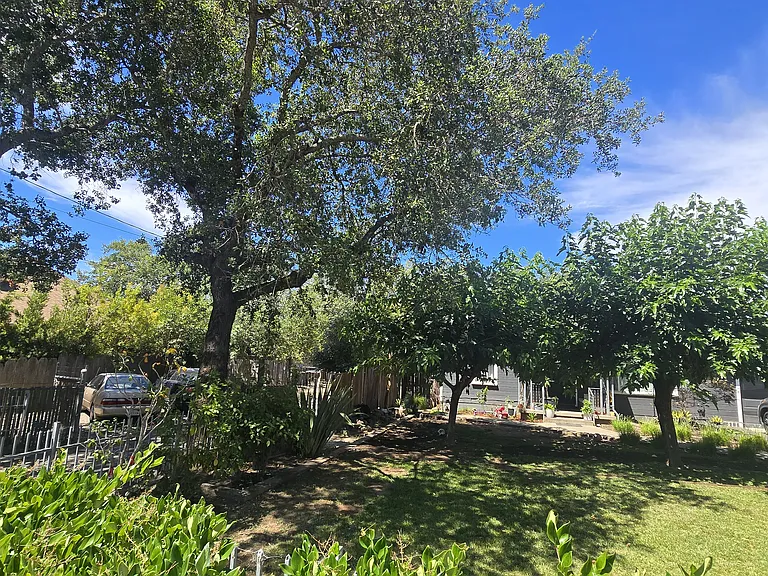 10051 Starr Rd #B — Photo 16