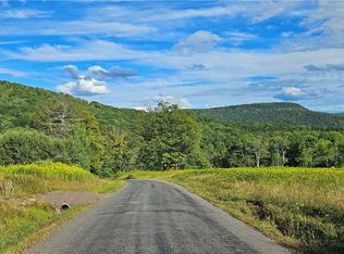 0 Shaver Hollow Rd #2, Andes, NY 13731