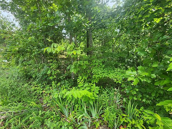 2nd image of 0 Lakeview Trail Dr
