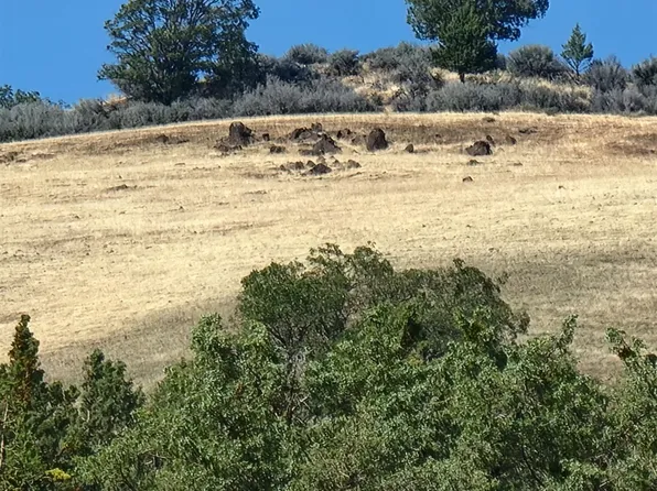 LOT 17 Camp Creek Rd, Hornbrook, CA 96044