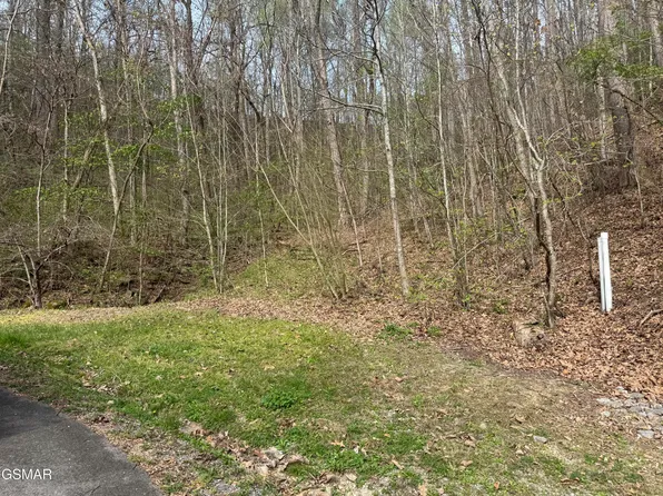 LOT 12 Whetstone Rd, Sevierville, TN 37862