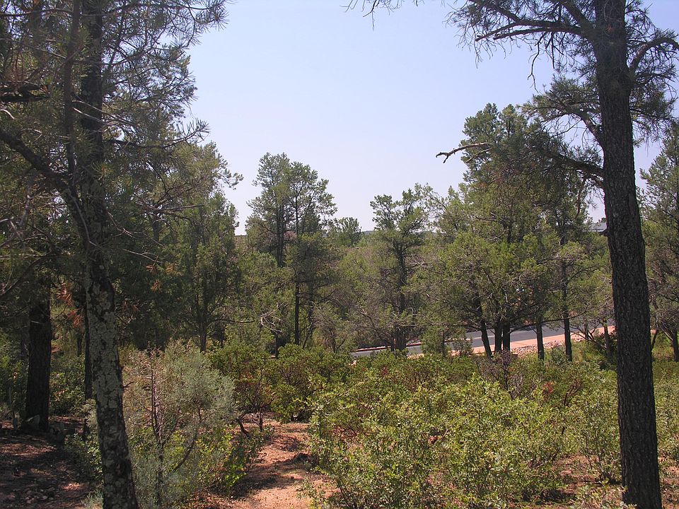 1st image of 1119 N Scenic Dr