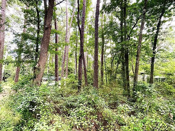 3rd image of 0 Dogwood Ln