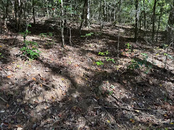 6 Beaver Dam Loop, Murphy, NC 28906