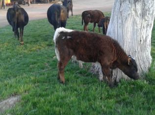 19200 N Lower Territory Rd, Prescott, AZ 86305