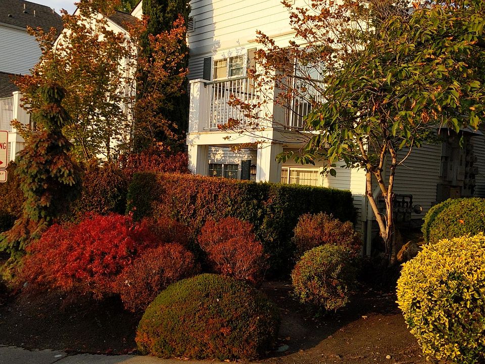 1st image of 3970 129th Pl SE APT A105