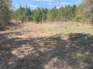 Tbd Hayfield Rd, Georgetown, SC 29440