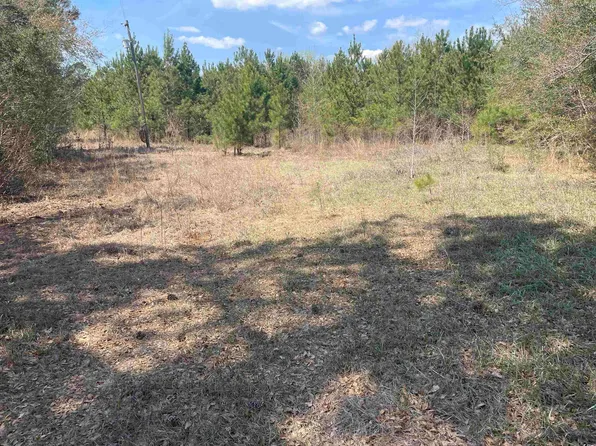 TBD Hayfield Rd., Georgetown, SC 29440