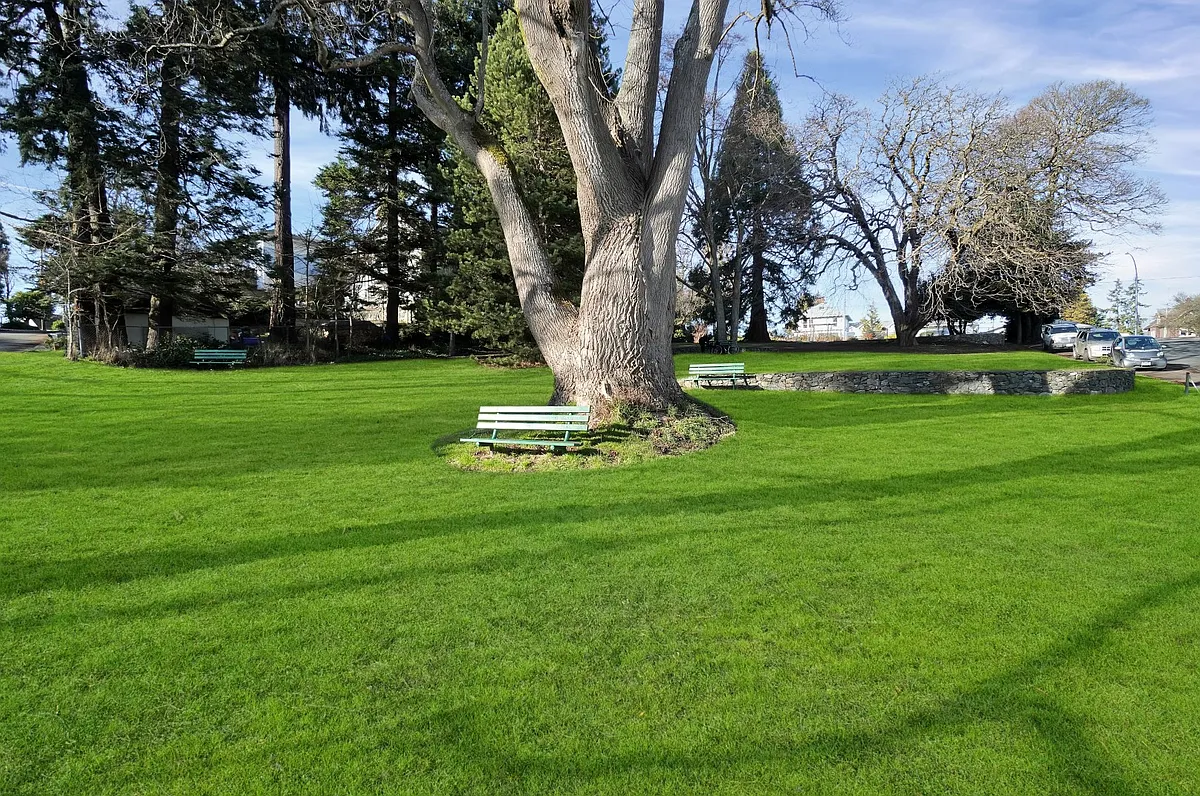 707 Esquimalt Rd — Photo 3