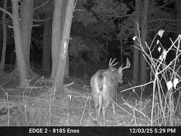 2nd image of 73 Valley Rd