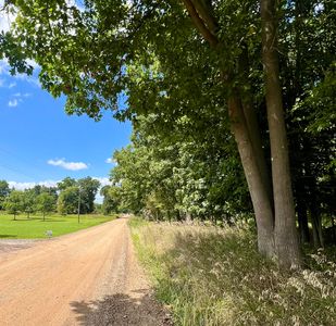 Vacant Chadwick Rd, Westphalia, MI, 48894
