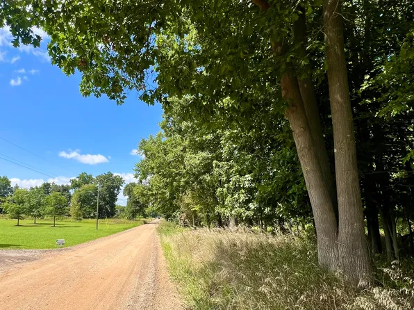 Vacant Chadwick Rd, Westphalia, MI 48894