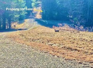 Graymont Brookstone Ln, Woodlawn, VA 24381