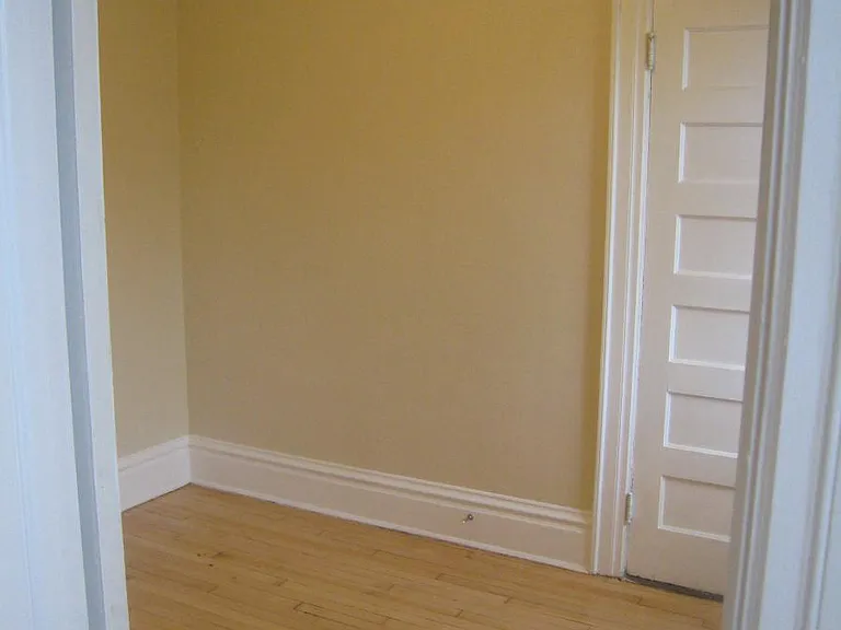 master bedroom (w. walk-in closet)