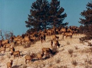 8557 County Road 92, Lake George, CO 80827