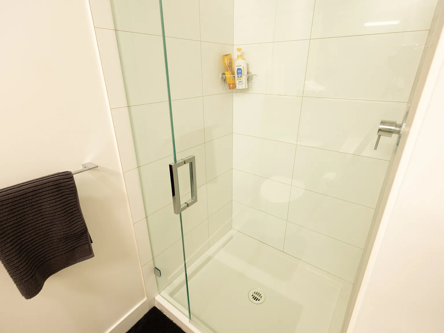 1 bed, 317 sqft, $1,650 — Photo 2