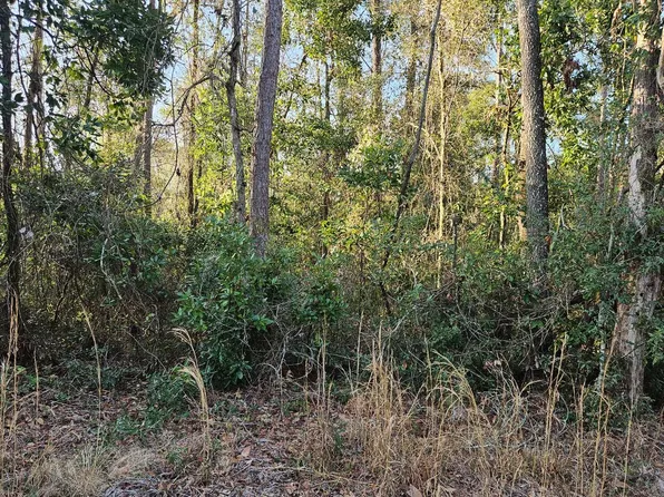 SW Utah St, Fort White, FL 32038