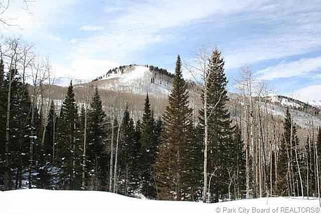 2nd image of 214 White Pine Canyon Rd #214