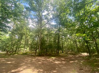 S Honeymoon Lake Dr, Baldwin, MI 49304