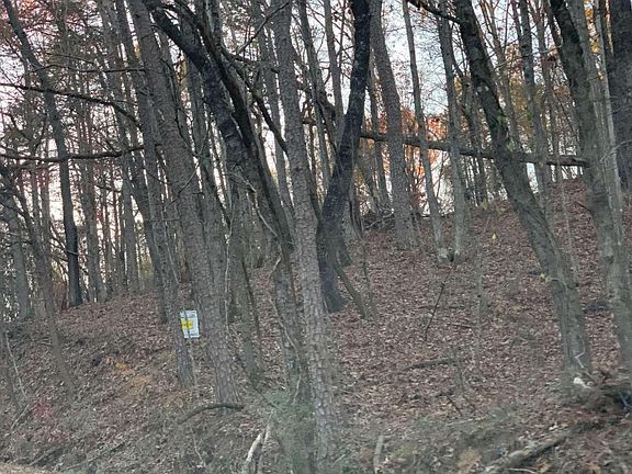 5th image of 1879 Tapawingo Dr