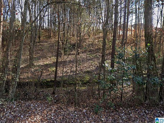 4th image of 4541 Magnolia Ridge Dr #1